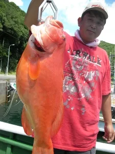 2010年8月5日の釣果・お知らせの写真