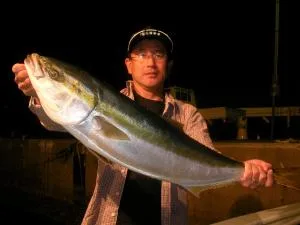 2008年11月23日の釣果・お知らせの写真