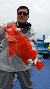2017年4月20日の釣果・お知らせの写真 3