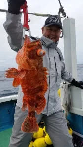 2015年4月11日の釣果・お知らせの写真