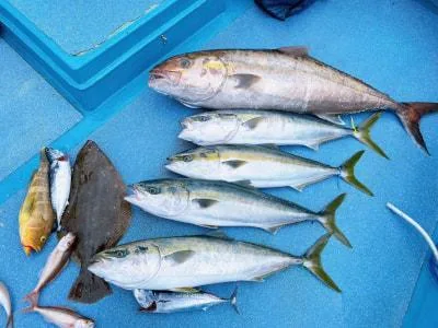 2024年7月13日の釣果・お知らせの写真 7