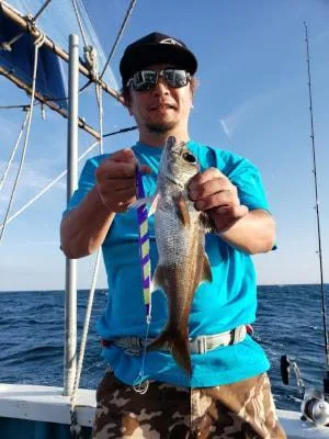2019年10月6日の釣果・お知らせの写真 4