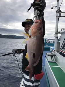 2017年7月28日の釣果・お知らせの写真 7