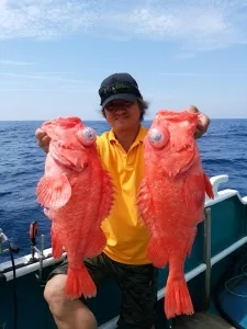 2016年6月18日の釣果・お知らせの写真