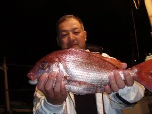 2008年12月3日の釣果・お知らせの写真