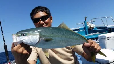2018年5月24日の釣果・お知らせの写真