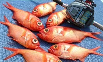 2018年4月4日の釣果・お知らせの写真 8