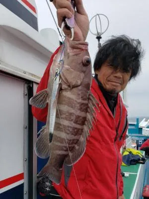 2019年11月24日の釣果・お知らせの写真 3