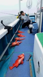 2017年5月11日の釣果・お知らせの写真
