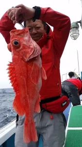 2017年4月20日の釣果・お知らせの写真