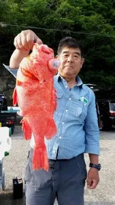 2017年6月4日の釣果・お知らせの写真 2