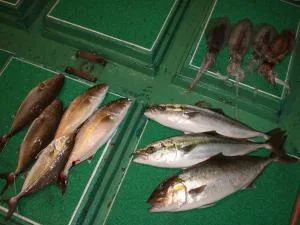 2007年11月26日の釣果・お知らせの写真 3