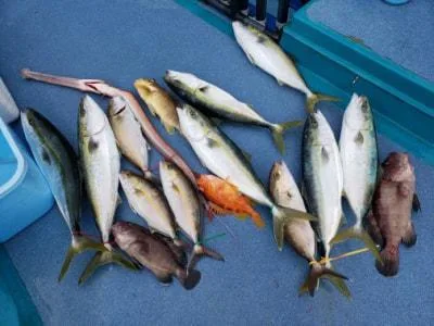 2023年1月7日の釣果・お知らせの写真 9