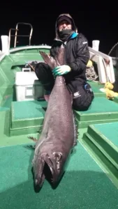 2012年4月13日の釣果・お知らせの写真 2