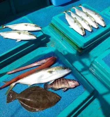 2021年3月31日の釣果・お知らせの写真 3