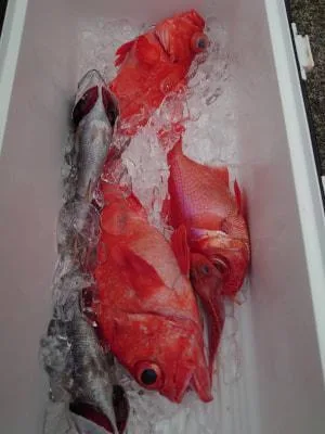 2023年9月23日の釣果・お知らせの写真 7