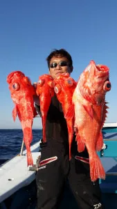 2017年12月15日の釣果・お知らせの写真 2