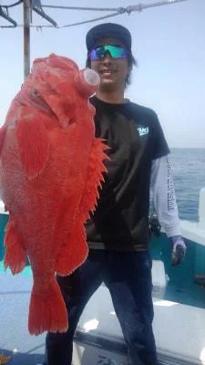 2018年4月4日の釣果・お知らせの写真 4