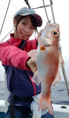 2019年6月23日の釣果・お知らせの写真 1