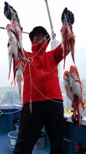 2017年11月8日の釣果・お知らせの写真