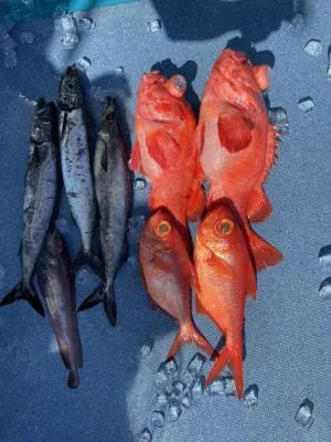 2021年10月3日の釣果・お知らせの写真 7