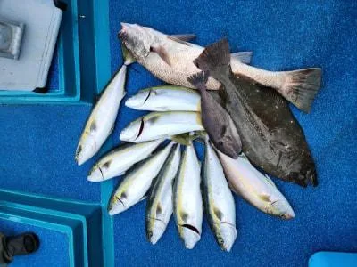 2026年10月12日の釣果・お知らせの写真 2