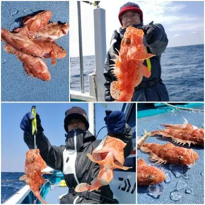 2019年3月23日の釣果・お知らせの写真