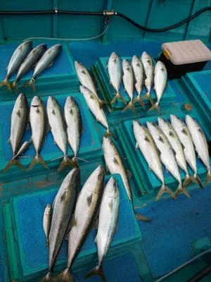 2022年6月16日の釣果・お知らせの写真 2