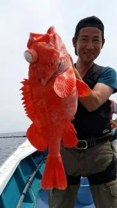 2017年5月31日の釣果・お知らせの写真 4