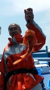2017年6月3日の釣果・お知らせの写真 2