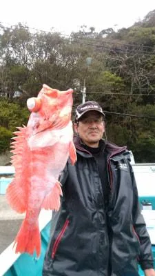 2018年3月3日の釣果・お知らせの写真
