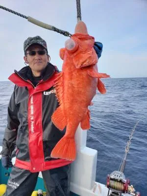 2020年3月7日の釣果・お知らせの写真