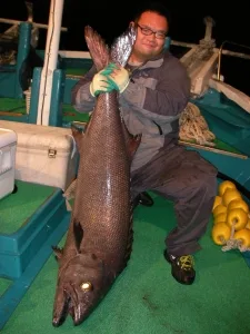 2011年11月28日の釣果・お知らせの写真 3