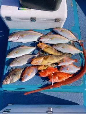 2025年12月27日の釣果・お知らせの写真 4