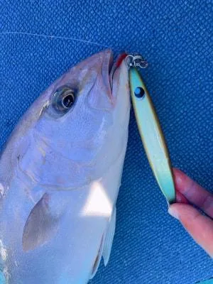 2025年12月27日の釣果・お知らせの写真 2