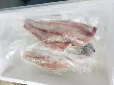 2021年10月18日の釣果・お知らせの写真 6