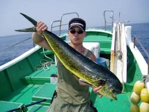 2006年6月20日の釣果・お知らせの写真