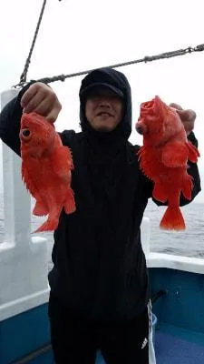 2018年5月28日の釣果・お知らせの写真
