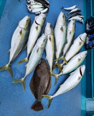 2024年1月10日の釣果・お知らせの写真 6