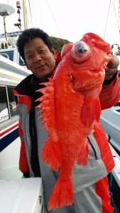2017年3月28日の釣果・お知らせの写真