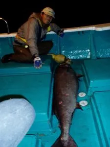 2007年11月3日の釣果・お知らせの写真 6