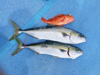 2024年7月20日の釣果・お知らせの写真