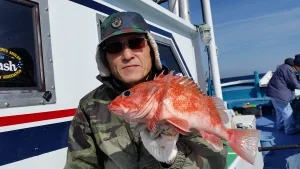 2017年3月12日の釣果・お知らせの写真