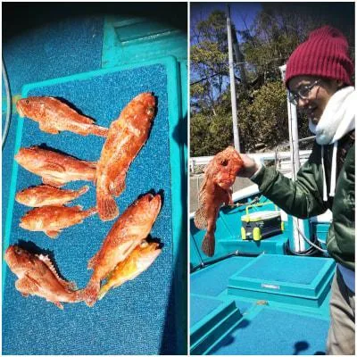 2019年3月24日の釣果・お知らせの写真 3