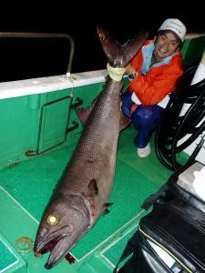 2006年11月3日の釣果・お知らせの写真