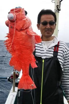 2019年6月14日の釣果・お知らせの写真 1