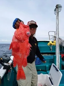2017年6月6日の釣果・お知らせの写真 2