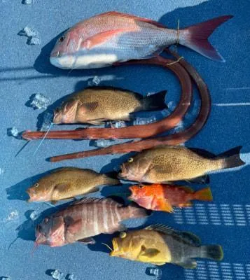 2021年12月12日の釣果・お知らせの写真 10