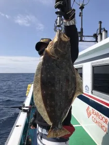 2017年7月28日の釣果・お知らせの写真 4