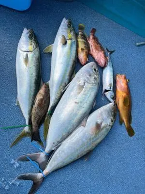 2021年12月30日の釣果・お知らせの写真 2